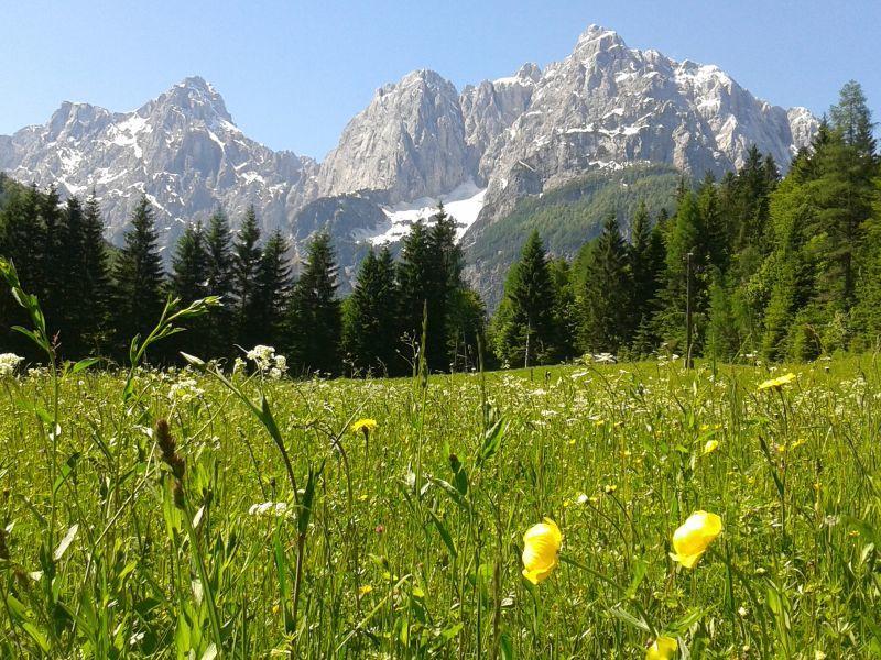 House Neza Apartment Kranjska Gora Ngoại thất bức ảnh